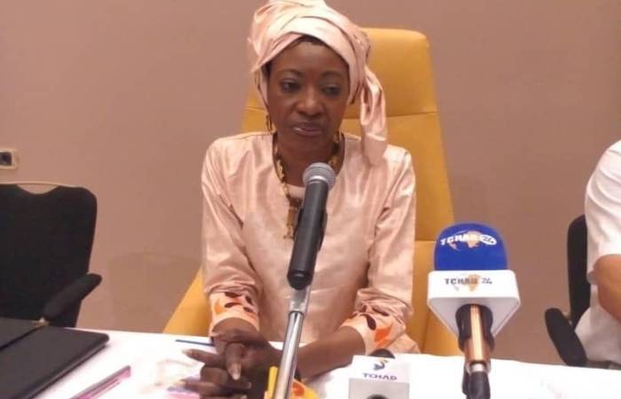 Tchad : Le ministère de la Formation professionnelle prépare la table ronde panafricaine pour la réforme éducative