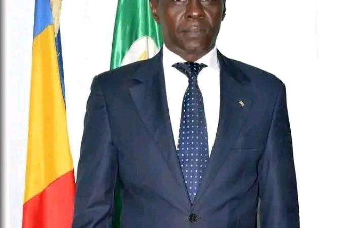 Tchad:  Max Kemkoye appelle à la suspension du processus électoral en cours