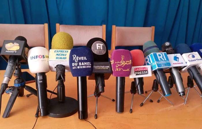 Forum économique Tchad-France : les organisations professionnelles de médias  dénoncent la non prise en charge des médias 