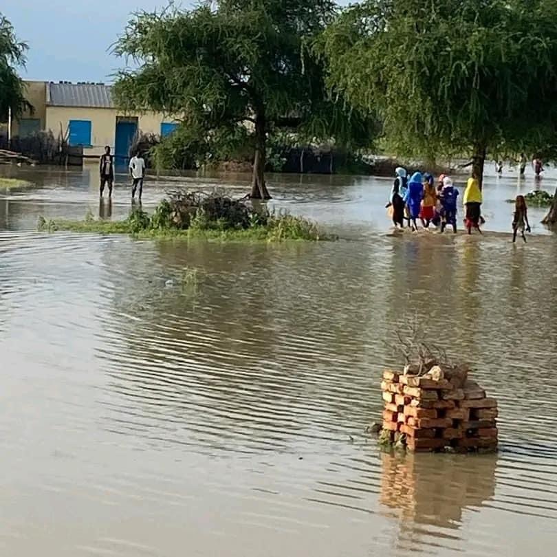 FDF6F323 CD72 441D B34F 395EEF31A30E