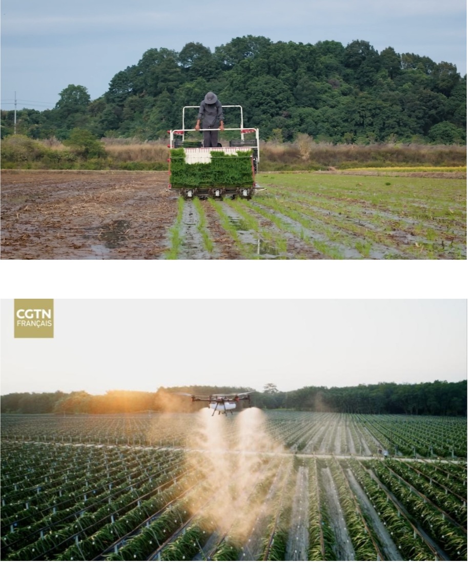 Screenshot 20250925 185346 Word