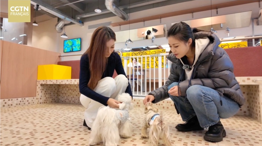 Screenshot 20260214 194824 Word