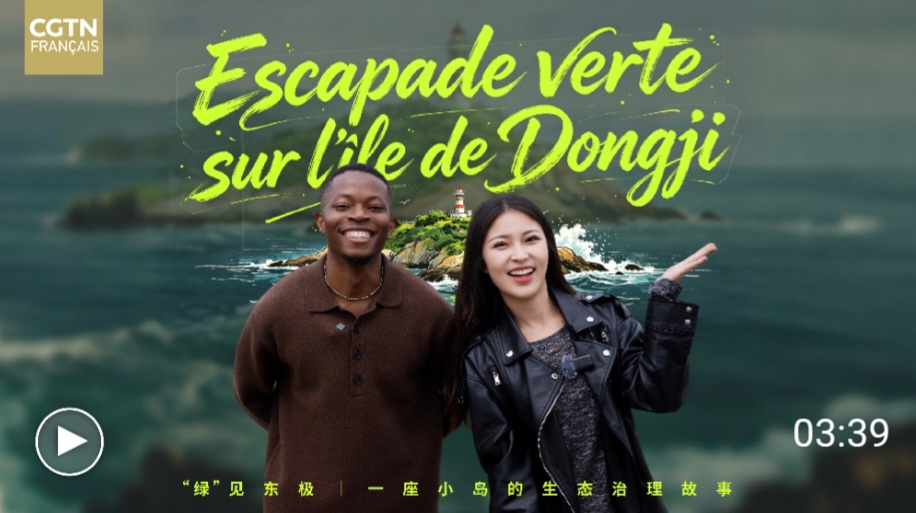 escapade-verte-sur-l-ile-de-dongji